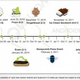 Illustration for article titled Report: Leaked Documents Confirm Totally Obvious Non-Surprise Android Key Lime Pie Launch This Spring